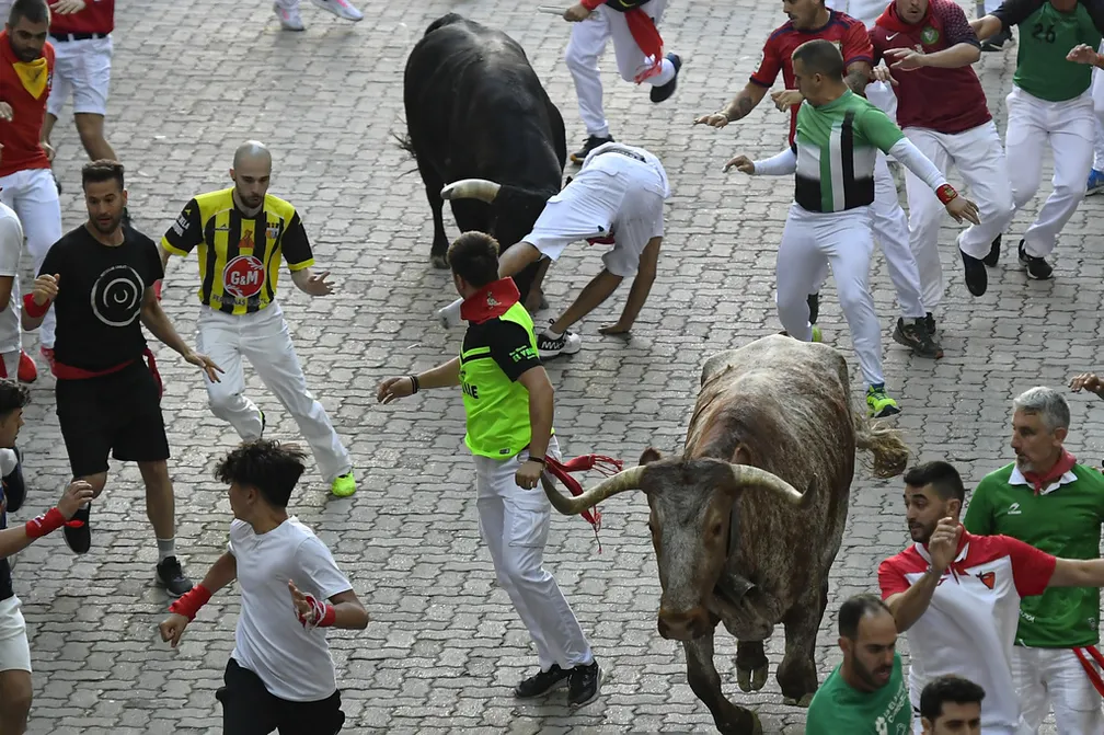 O que fazer na Espanha: Correndo dos touros