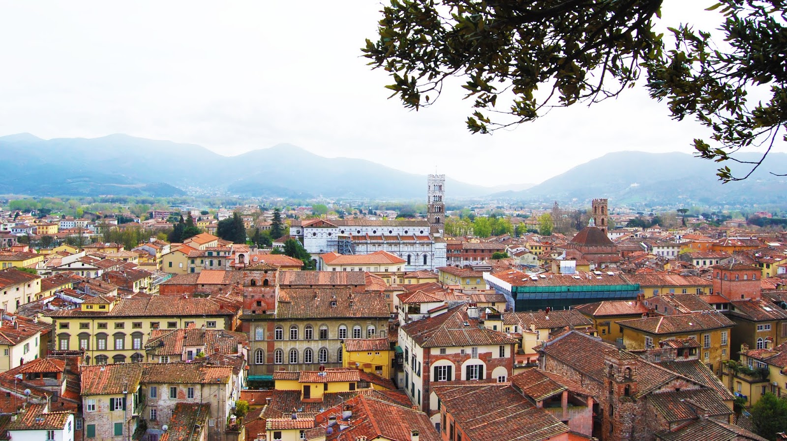 O que fazer em Lucca